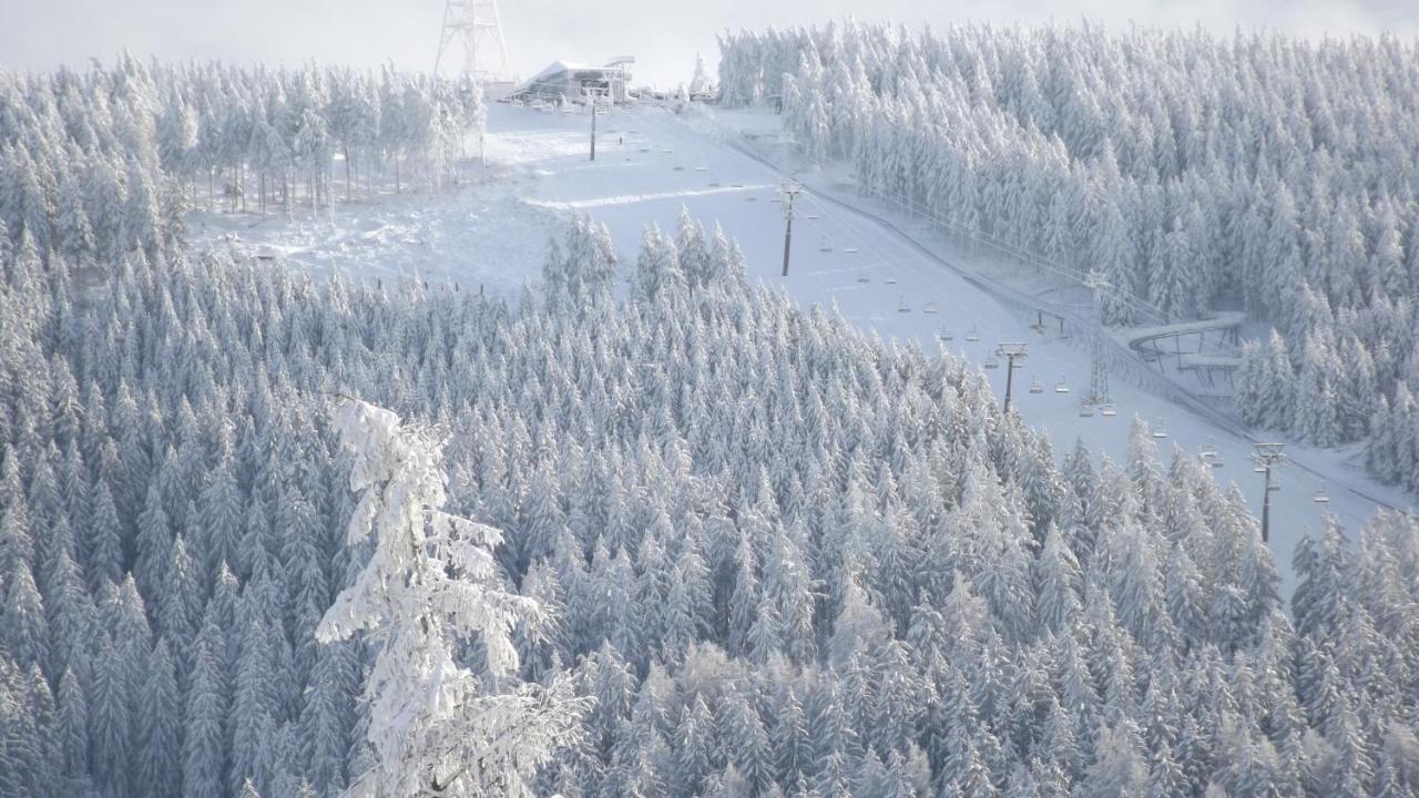 Premium-Ferienwohnungen Bergblick Im Haus Hopfe Goslar Ngoại thất bức ảnh