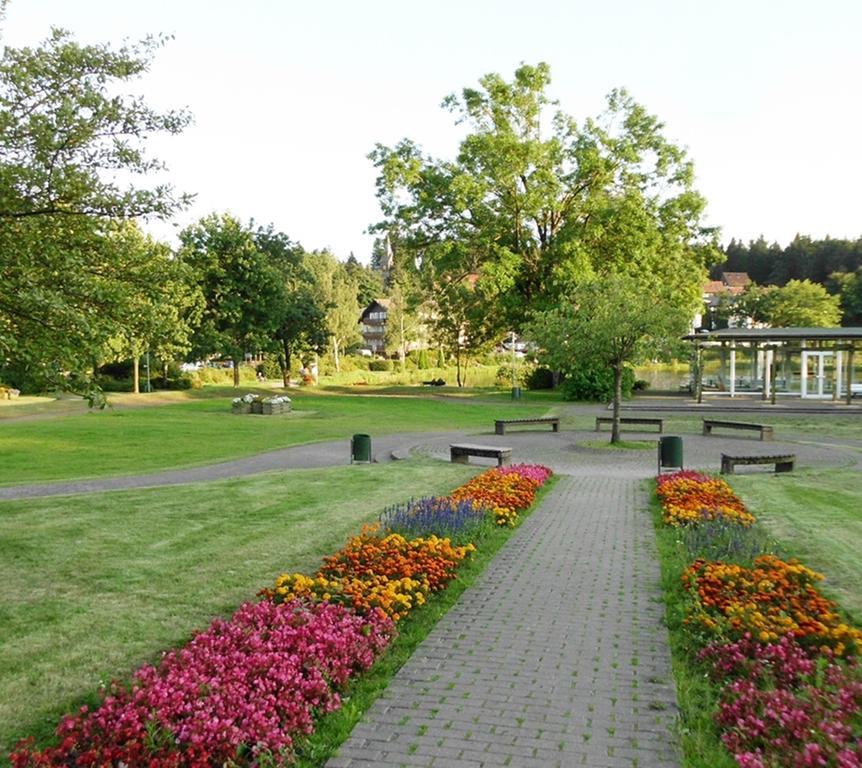 Premium-Ferienwohnungen Bergblick Im Haus Hopfe Goslar Ngoại thất bức ảnh
