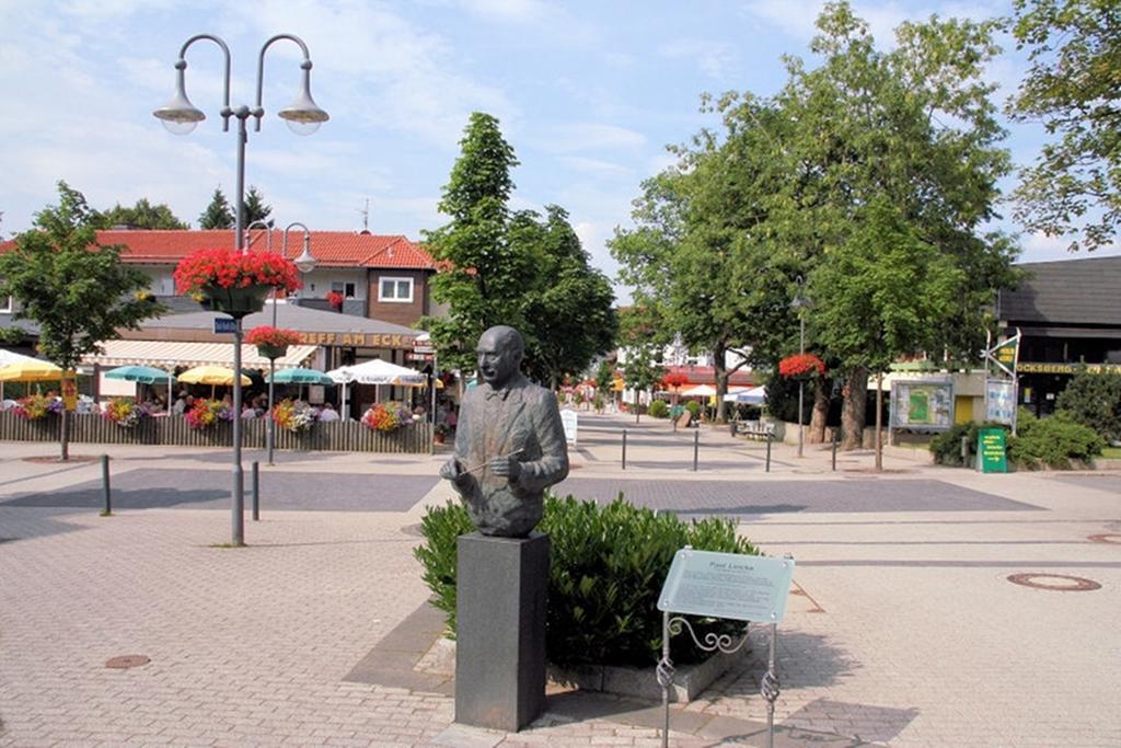 Premium-Ferienwohnungen Bergblick Im Haus Hopfe Goslar Ngoại thất bức ảnh