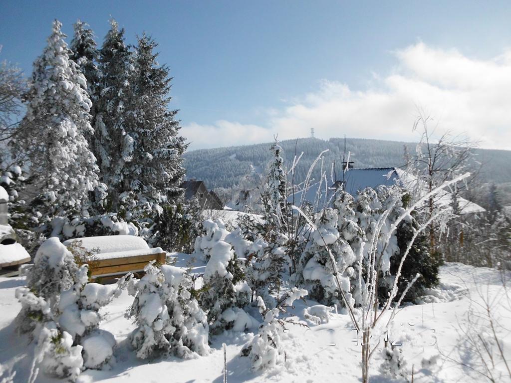 Premium-Ferienwohnungen Bergblick Im Haus Hopfe Goslar Ngoại thất bức ảnh