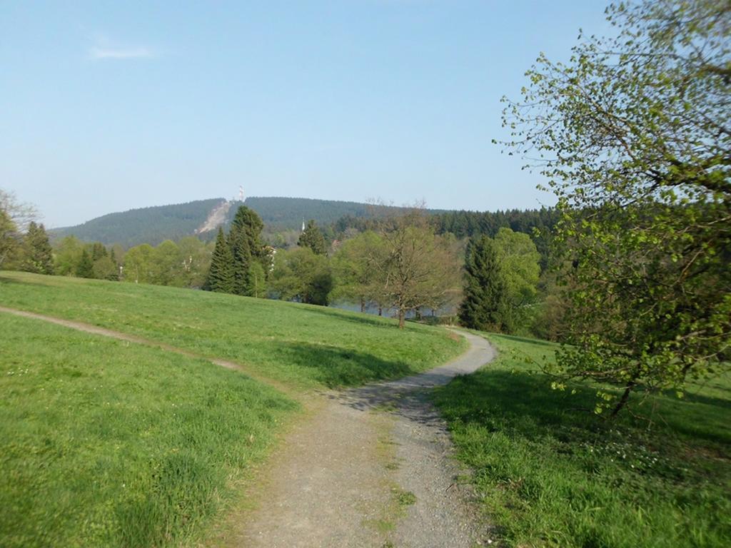 Premium-Ferienwohnungen Bergblick Im Haus Hopfe Goslar Ngoại thất bức ảnh