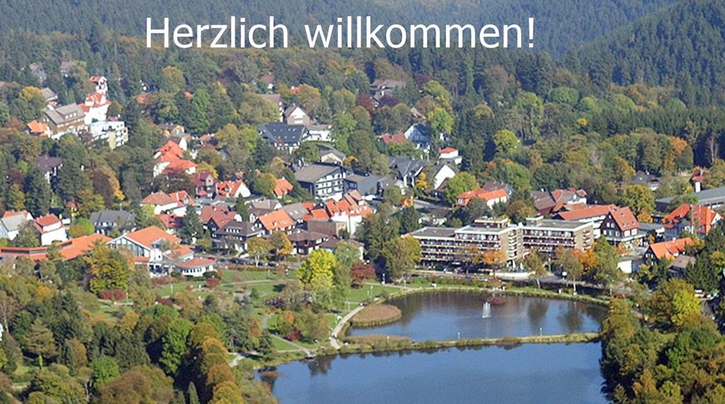 Premium-Ferienwohnungen Bergblick Im Haus Hopfe Goslar Ngoại thất bức ảnh