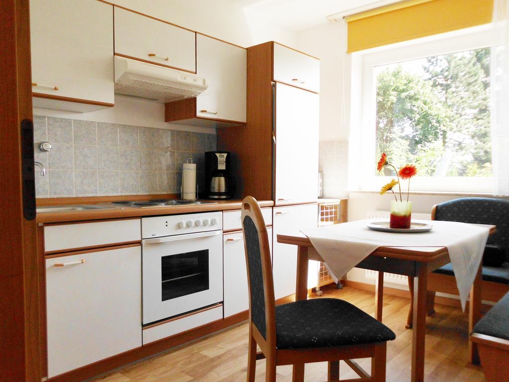 Premium-Ferienwohnungen Bergblick Im Haus Hopfe Goslar Ngoại thất bức ảnh
